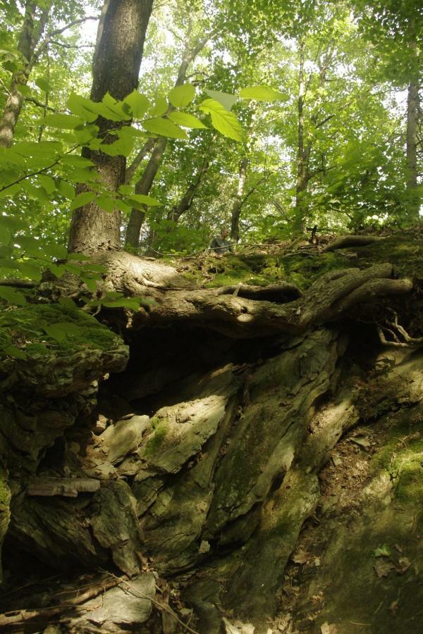 Gite Au Pied Des Appalaches Sainte-Sophie-D'Halifax Экстерьер фото